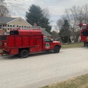 JL Tree Care Services