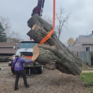 Sam’s The Man Tree Service