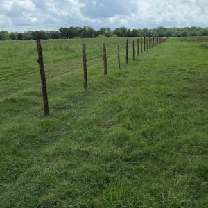 Espinoza Fence & Tree Trimming