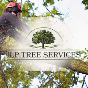 ILP Tree Services