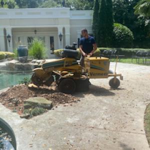 Lake Lanier Stump Grinding