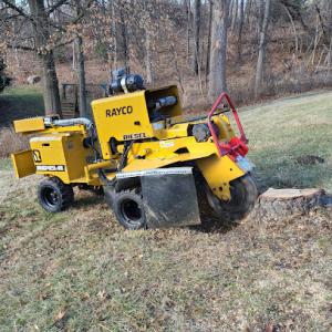 Cincinnati Stump Grinding