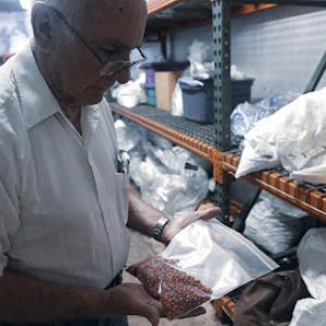 Louisiana Forest Seed