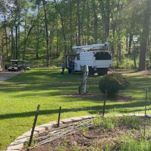 JWK Vegetation Specialist