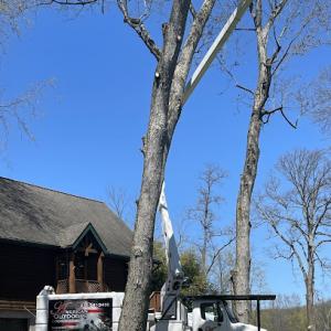 American Outdoors Expert Tree Service
