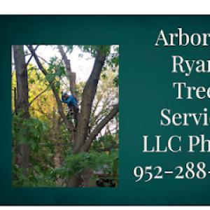 Arborist Ryan Tree Service