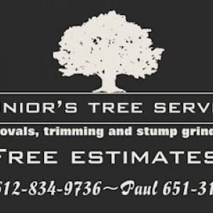Juniors tree service