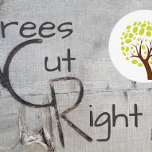 Trees Cut Right