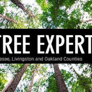 TNT Tree Experts