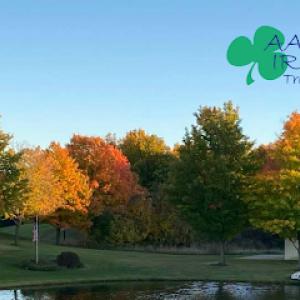 AAA Irish Tree Service