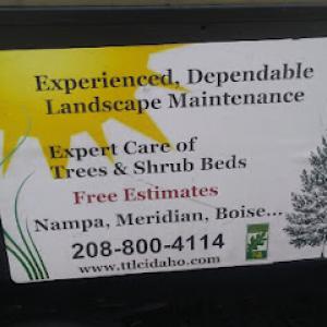 Treasure Tree & Landscape Care