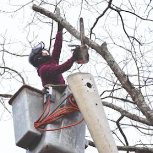 Markovski Landscaping & Tree Service