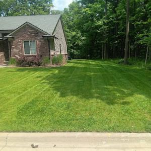 Shine Bright Services