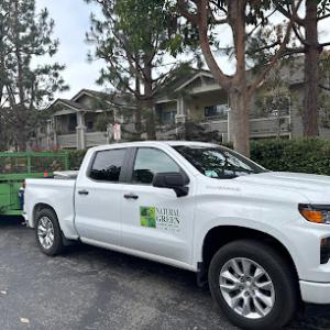 Natural Green Landscape