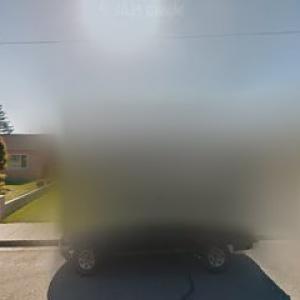 First Class Tree Service