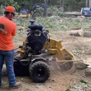 Treemasters by Doc Locklear