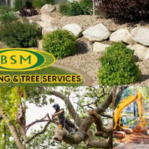 BSM Landscaping & Tree Service
