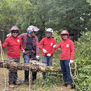 Grant Brothers Tree Service