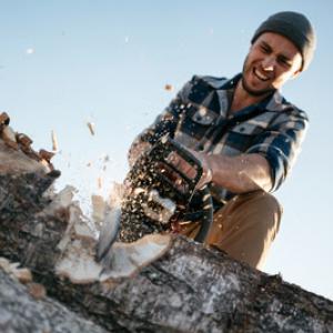 Tree Service Milpitas