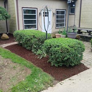 Dad's Son Tree Service