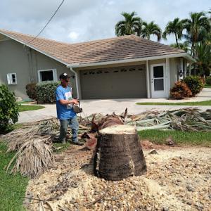 James's & Nikki's Tree Service