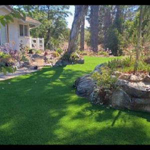 Environmental Tree Service & Landscape