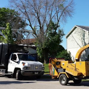Ackerman Tree Specialists