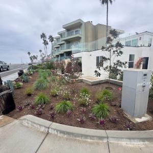 Carlos Gardening & Tree Service