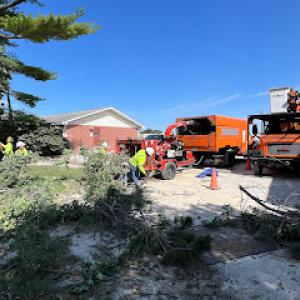 Tree Of Life Tree Service & Landscaping