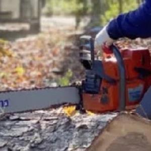 S Green Tree Services