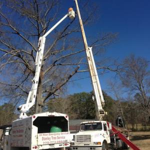 Stanley Tree & Landscaping Services