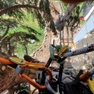 Wolverine Arbor Services