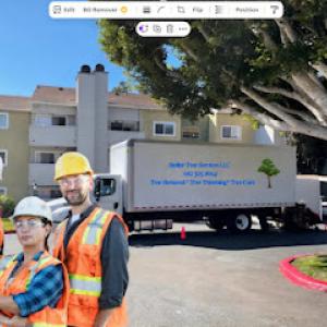 Stellar Tree Services