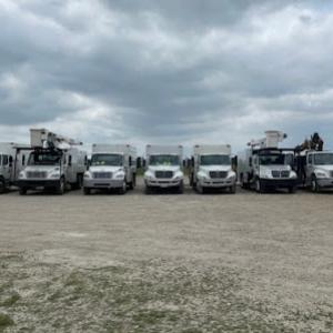 North Dallas Tree Planting - Arborist Aidan