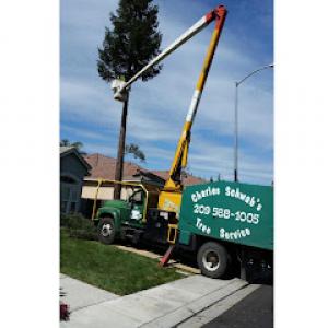 Charles Schwab's Tree Service