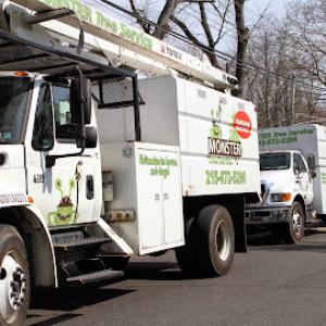 Monster Tree Service of Bucks & Montgomery Counties
