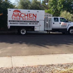 Aachen Tree Service
