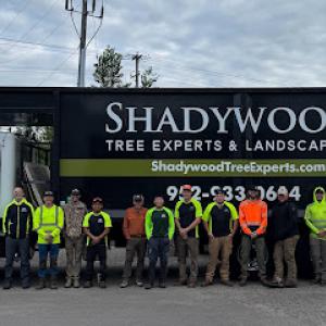 Shadywood Tree Experts & Landscaping