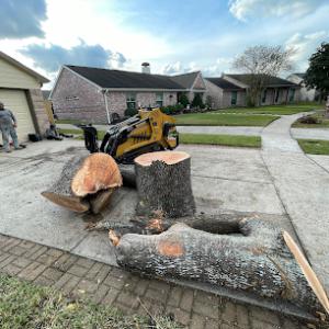 Gabby's Tree Service