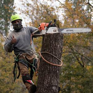 Grand Oaks Tree Service