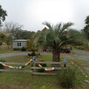 Budget Tree Services