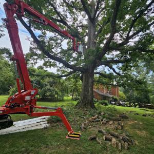 Greenworks Tree Service & Firewood Delivery