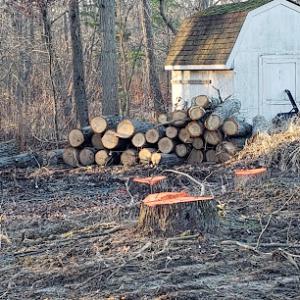 Arrowhead Tree Service