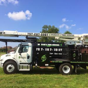 Brandon's Tree Service