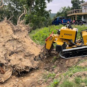 Mariano's Stump Grinding