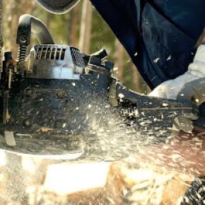 Southern Exposure Tree Service
