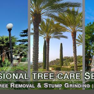 Supreme Tree Experts