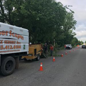 Arborscapes Tree Service