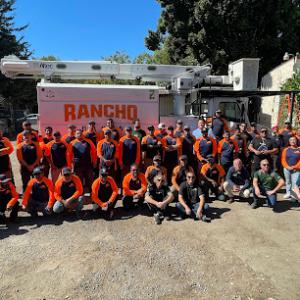 Rancho Coastal Tree - SavATree