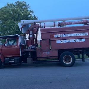 Jim's tree service